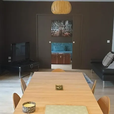 Apartamento L'ossau, Cœur Piéton, Rare Avec Balcon Pau